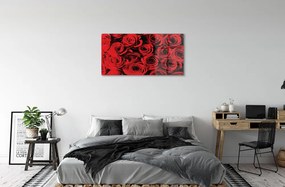 Obraz plexi Ruže 100x50 cm