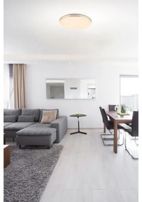 GLOBO 48388-48 - LED Stropné svietidlo s ovladačem PIERRE 1xLED/48W/230V