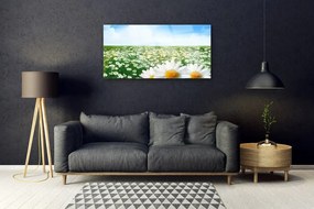 Skleneny obraz Sedmokrásky kvety lúka pole 120x60 cm