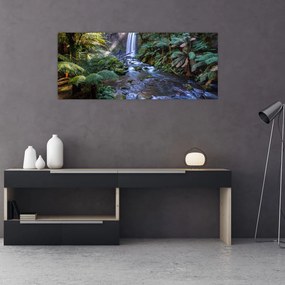 Obraz australského dažďového lesa (120x50 cm)