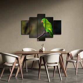 Obraz papagája na vetve (150x105 cm)