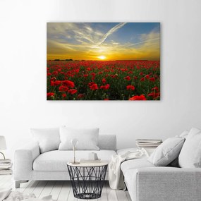 Gario Obraz na plátne Lúka červených makov na slnku Rozmery: 60 x 40 cm
