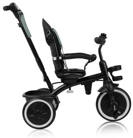 Lionelo - Detská trojkolka BERRY Green Forest