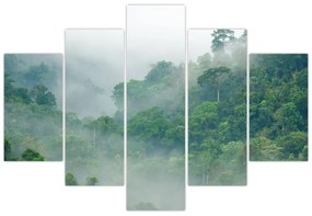 Obraz - Ranná hmla (150x105 cm)