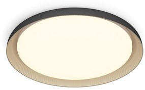 Philips Philips - LED Stmievateľné stropné svietidlo PEBBLO LED/10W/230V 2700K čierna P6235