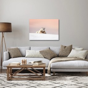 Obraz - Ľadový medveď (70x50 cm)