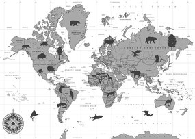 Obraz na korku mapa so zvieratami v čiernobielom prevedení