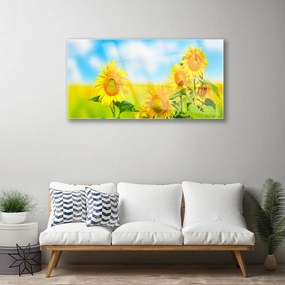 Skleneny obraz Slnečnica kvety príroda 100x50 cm