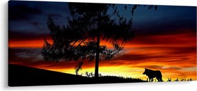 Obraz - Silueta vlka (120x50 cm)