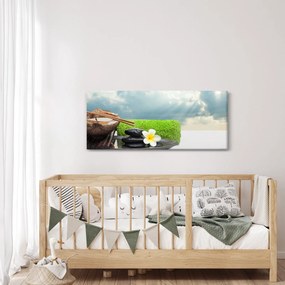 Obraz - Spa and relax (120x50 cm)