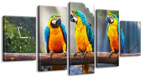 Gario Obraz s hodinami Farebné papagáje - 5 dielny Rozmery: 150 x 70 cm