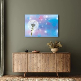 Obraz - Púpava vo vetre (90x60 cm)
