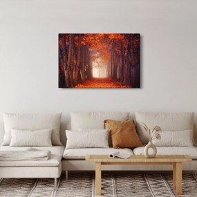 Obraz - Jesenné les (90x60 cm)
