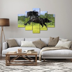 Obraz - Kôň s vzdušnou hrivou (150x105 cm)