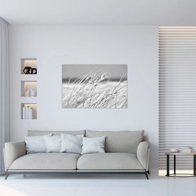 Obraz - Plážová tráva (90x60 cm)