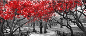 Obraz - Červené stromy, Central Park, New York (120x50 cm)