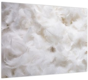 Obraz - Biele perie (70x50 cm)