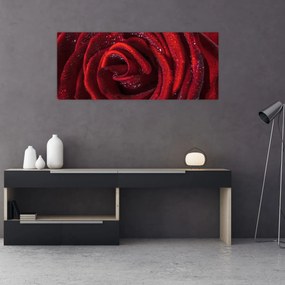 Obraz - Červená ruža s kvapkami rosy (120x50 cm)