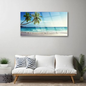 Skleneny obraz More pláž palma krajina 120x60 cm