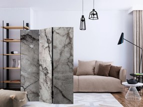 Artgeist Paraván - Grey Marble [Room Dividers]