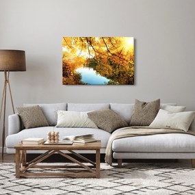Obraz - Jesenný strom (90x60 cm)