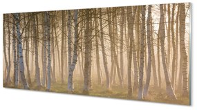 Obraz plexi Sunrise strom les 120x60 cm