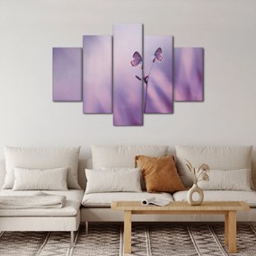 Obraz - Fialové motýliky (150x105 cm)