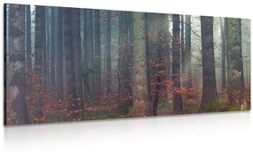 Obraz tajomstvo lesa - 100x50