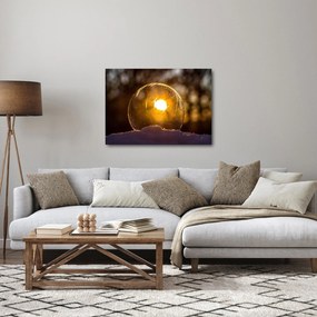 Obraz - Priehľadná bublina (70x50 cm)