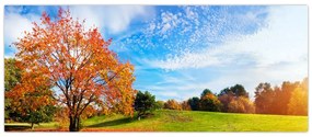 Obraz - Jesenná krajina (120x50 cm)