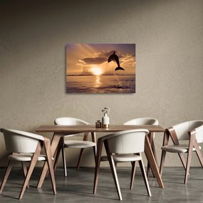 Sklenený obraz - Delfín pri západe slnka (70x50 cm)