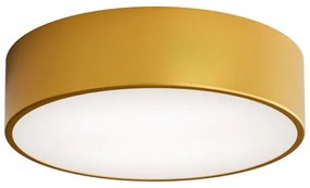 Brilagi - Stropné svietidlo CLARE 2xE27/24W/230V pr. 30 cm zlatá