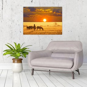 Sklenený obraz - Zebry so západom slnka (70x50 cm)