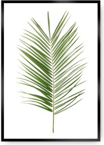 Plagát Palm Leaf Green