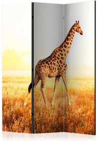 Artgeist Paraván - giraffe - walk [Room Dividers]