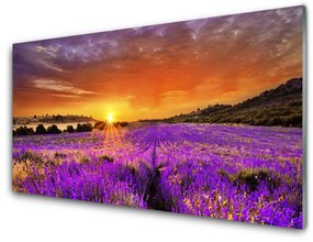 Obraz plexi Západ slnka pole levanduľa 120x60 cm