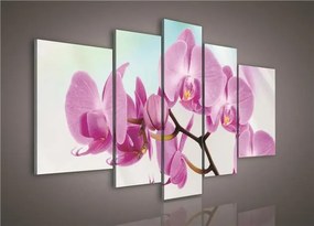 Obraz na plátne orchidea 170 x 100 cm
