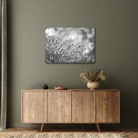 Obraz - Béžová soft grass N⁰1 (70x50 cm)