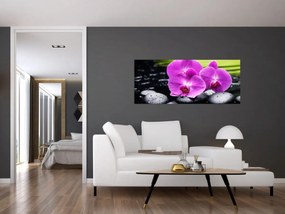 Obraz - Orchidey (120x50 cm)