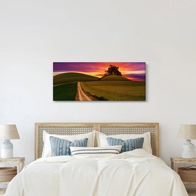 Obraz poľa a farebného neba (120x50 cm)