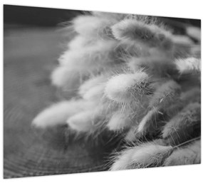 Sklenený obraz - bunny tail grass na stole (70x50 cm)