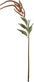 FLORISTA Proso 110 cm - hnedá
