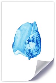 Gario Plagát Akvarel shell Farba rámu: Bez rámu, Veľkosť: 20 x 30 cm