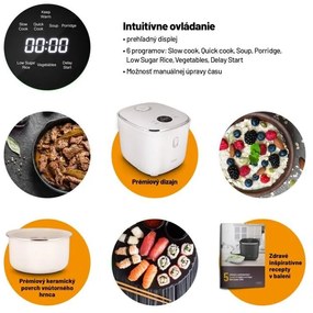 Lauben Low Sugar Rice Cooker 3000WT