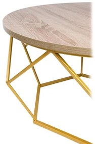 Konferenčný stolík DIAMOND 40x70 cm zlatá/hnedá