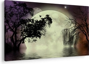 Obraz - Spln nad hladinou (90x60 cm)