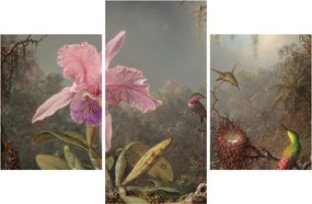Obraz - Martin Johnson Heade, Cattleya Orchid and Three Hummingbirds, reprodukcia (90x60 cm)