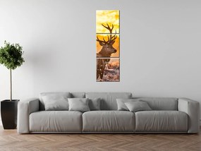 Gario Obraz s hodinami Silný jeleň - 3 dielny Rozmery: 80 x 40 cm