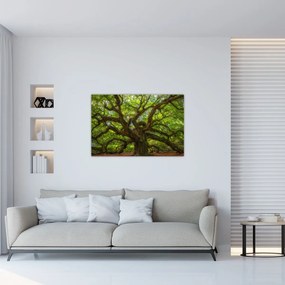 Obraz - Zelený strom (90x60 cm)
