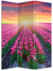 Paraván - Pole tulipánov so slnkom (126x170 cm)